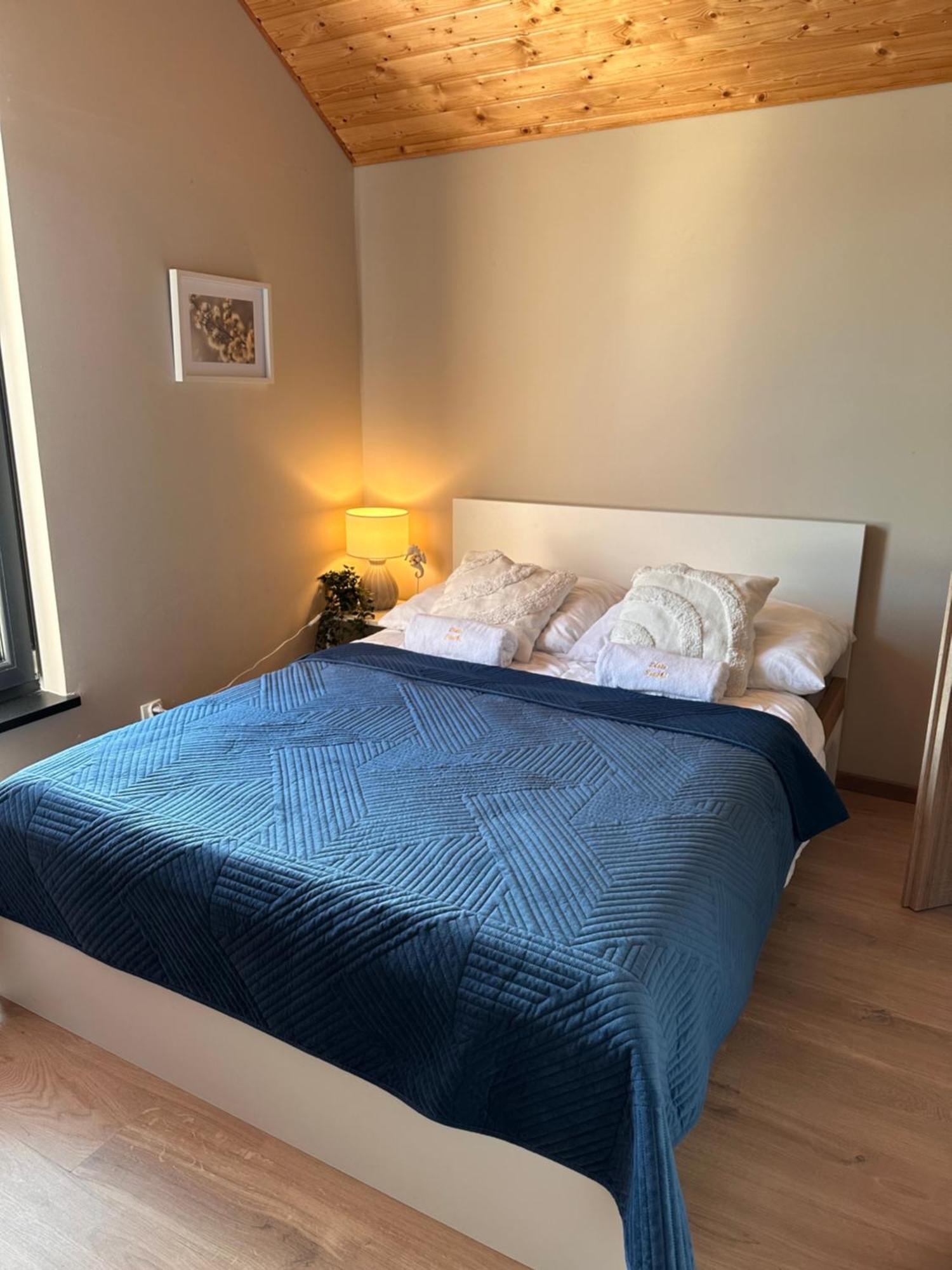 Domki Zlote Piaski Kryty Basen Sauna Jacuzzi Jastrzębia Góra Exteriér fotografie